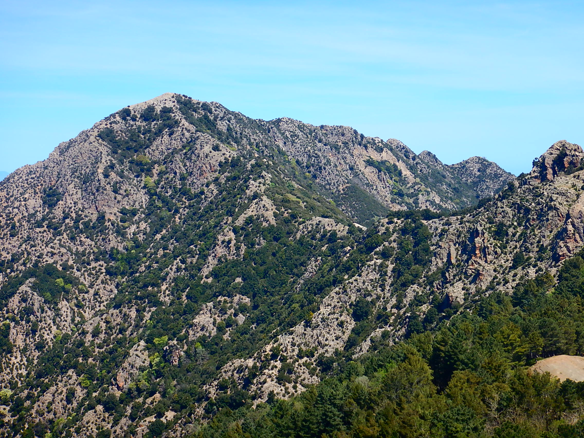 Monte Cavallo