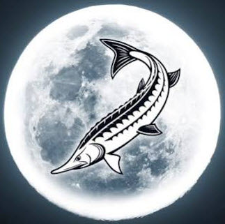 TREKKING NOTTURNO – 28 AGOSTO 26 – LUNA DELLO STORIONE