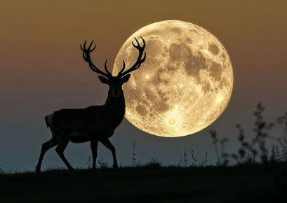 TREK NOTTURNO – 30 LUGLIO 26 – LA LUNA DEL CERVO